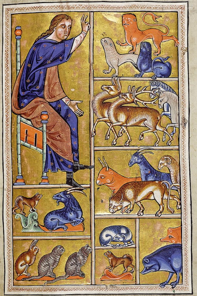 Detail from the 12th century Aberdeen Bestiary
