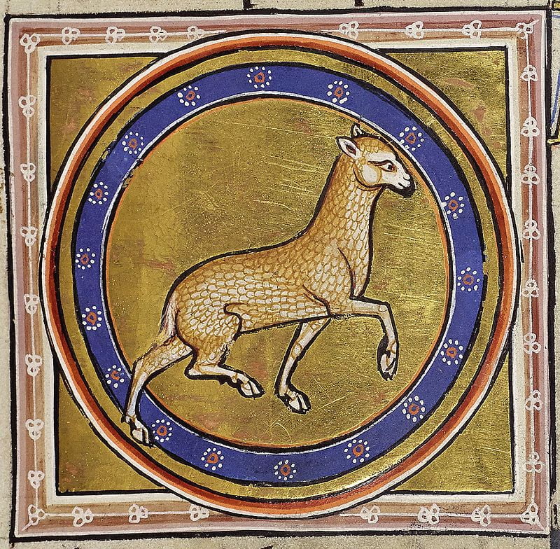 Folio 21 recto : Lamb (Agnus).
