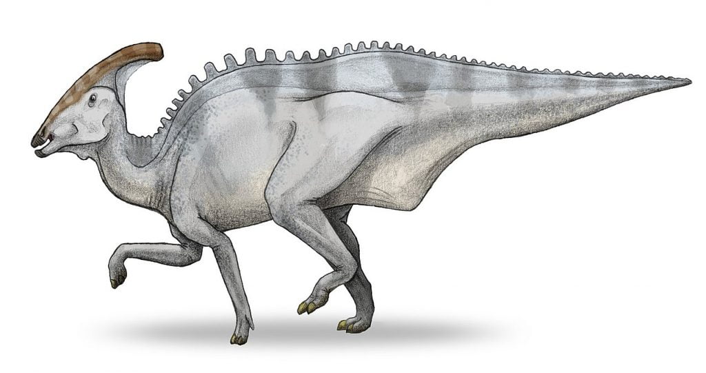 By Debivort, CC BY-SA 3.0, https://commons.wikimedia.org/w/index.php?curid=2538283, Charonosaurus