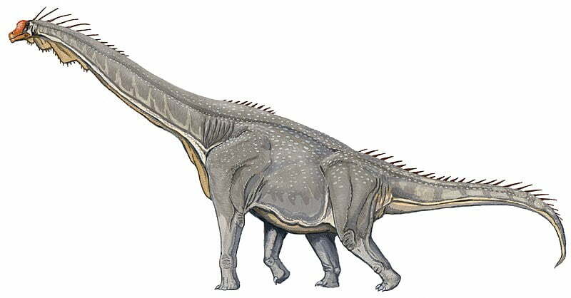 800px Brachiosaurus DB