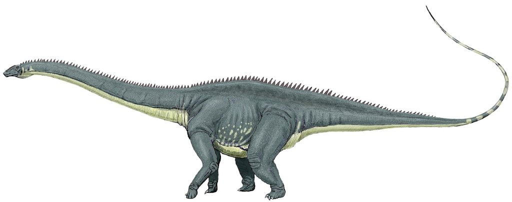 Dinosaur, Diplodocus