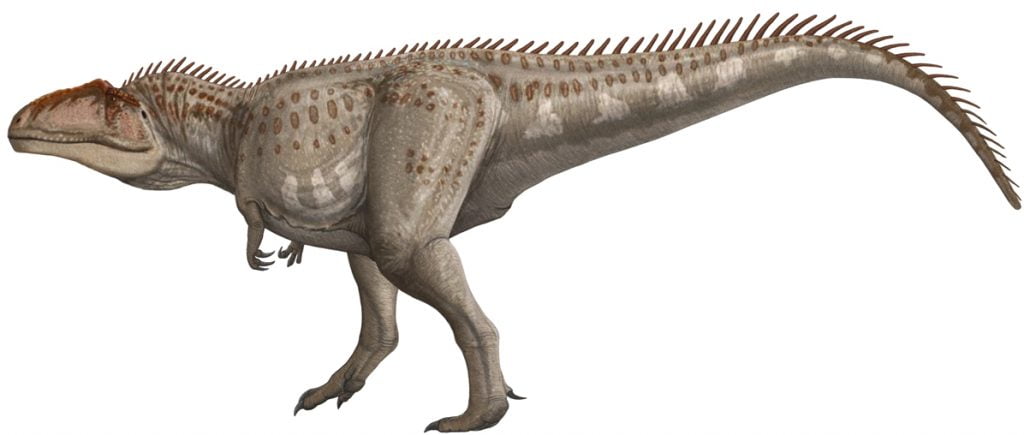 Dinosaur, Giganotosaurus