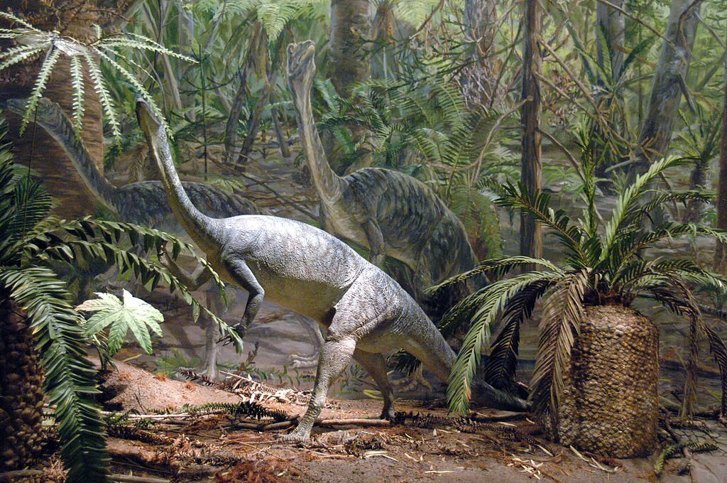 Dinosaur, Anchisaurus