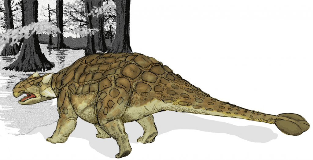 Restoration of Ankylosaurus displaying its tail club Mariana Ruiz Villarreal LadyofHats - Own work, Ankylosaurus