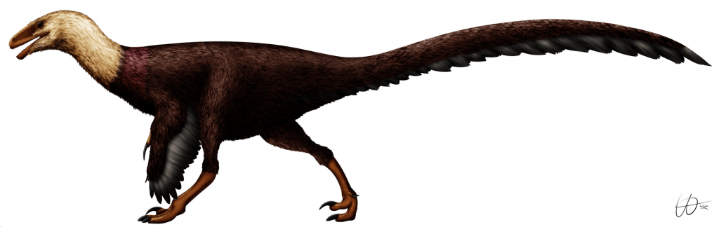 By PaleoNeolitic - Own work, CC BY-SA 4.0, https://commons.wikimedia.org/w/index.php?curid=80437081, Ornitholestes