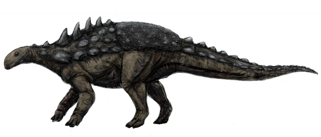 Hypothetical Polacanthus foxii restoration, based mostly on Gastonia. Date October 2009 Source Own work Author FunkMonk (Michael B. H.), hip armour by Franz Nopcsa von Felso-Szilvás, Paleocinthus