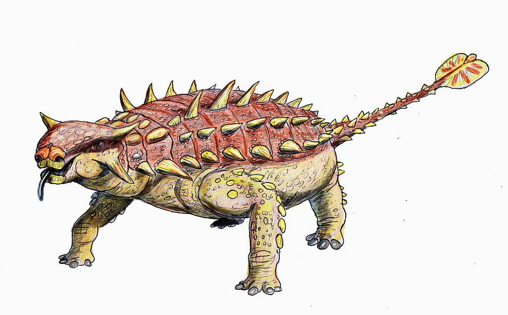 By DiBgd - Own work, CC BY-SA 4.0, https://commons.wikimedia.org/w/index.php?curid=71035008, Pinacosaurus
