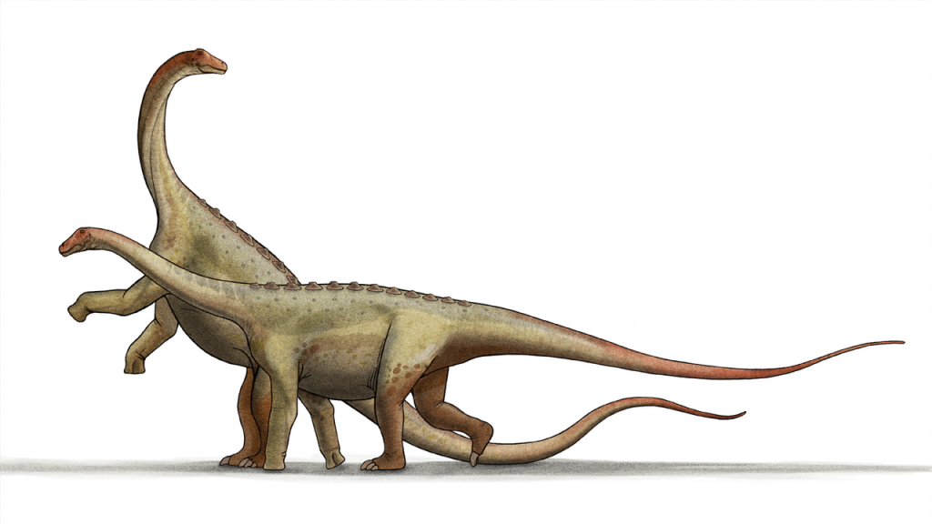 By LadyofHats Altered by Steveoc 86 and FunkMonk - did it myself, Public Domain, https://commons.wikimedia.org/w/index.php?curid=1343092, Saltasaurus