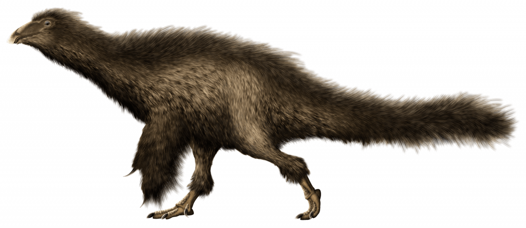 By PaleoNeolitic - Own work, CC BY 4.0, https://commons.wikimedia.org/w/index.php?curid=91135509, Beipiaosaurus