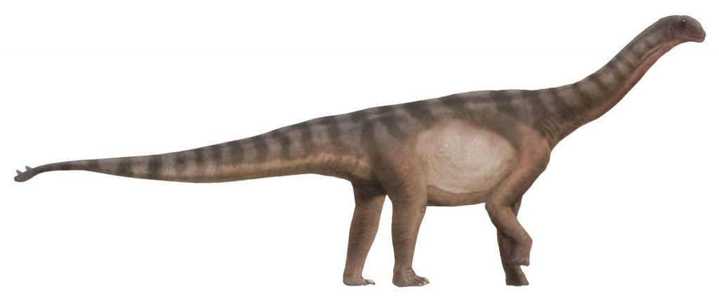 By User:Smokeybjb (Edits by User:Paleocolour) - https://commons.wikimedia.org/wiki/File:Patagosaurus.jpg, CC BY-SA 3.0, https://commons.wikimedia.org/w/index.php?curid=74183573,  Shunosaurus