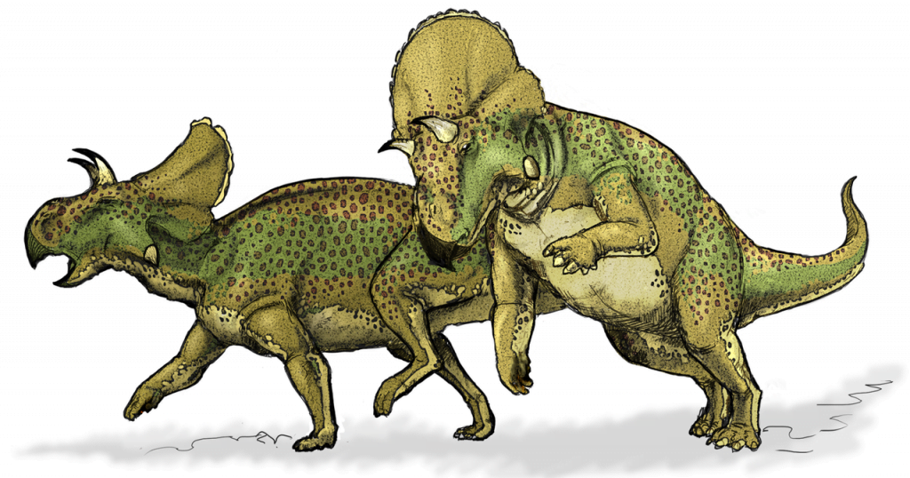 By Mariana Ruiz Villarreal LadyofHats - Own work, Public Domain, https://commons.wikimedia.org/w/index.php?curid=2318170, Avaceratops