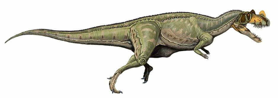 By DiBgd at English Wikipedia, CC BY 2.5, https://commons.wikimedia.org/w/index.php?curid=2443219, Ceratosaurus