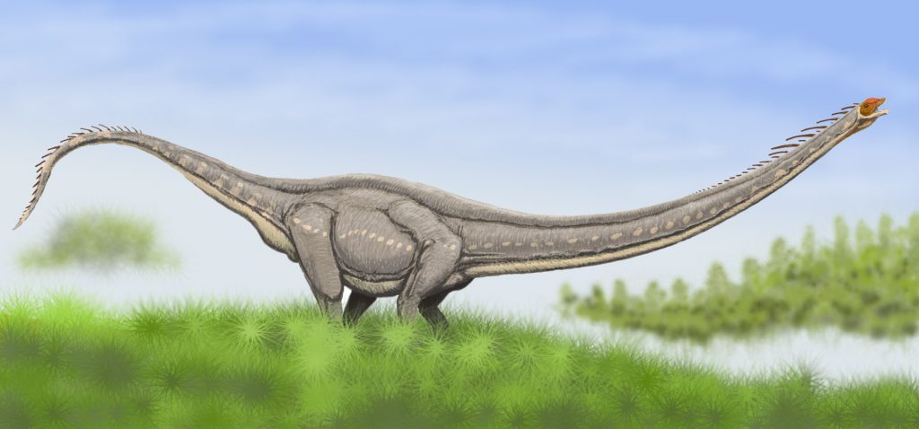 By ДиБгд, CC BY-SA 3.0, https://commons.wikimedia.org/w/index.php?curid=2460132, Mamenchisaurus