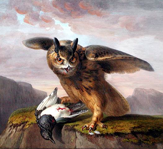 By Pancrace Bessa (1772-1835) - http://www.artnet.com/artwork/424949713/424105897/pancrace-bessa-an-owl-with-its-prey.html, Public Domain, https://commons.wikimedia.org/w/index.php?curid=3725676, Owl