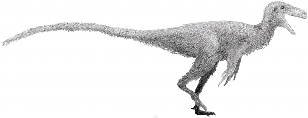 By Tom Parker - Own work, CC BY-SA 4.0, https://commons.wikimedia.org/w/index.php?curid=43696720, Stokesosaurus