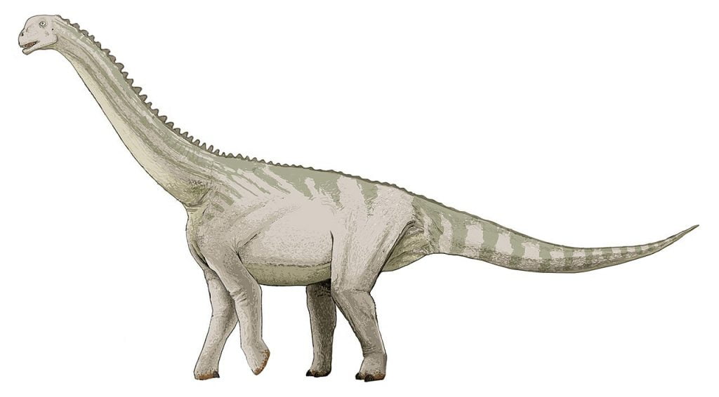 By Debivort, CC BY-SA 3.0, https://commons.wikimedia.org/w/index.php?curid=3695440, Bellosaurus