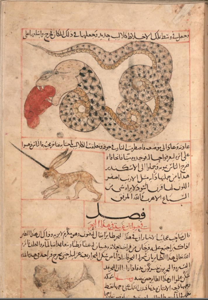 Al-mi'raj, By Zakariya ibn Muhammad Qazwini - The Wonders of Creation (Bavarian Copy), CC BY-SA 4.0, https://commons.wikimedia.org/w/index.php?curid=70428985
