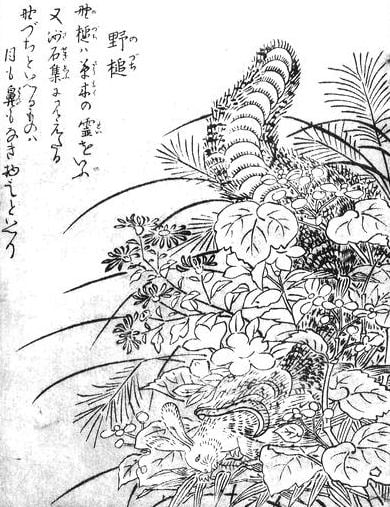 By Toriyama Sekien (鳥山石燕, Japanese, *1712, †1788) - scanned from ISBN 4-336-03386-2., Public Domain, https://commons.wikimedia.org/w/index.php?curid=2080037, Nozuchi