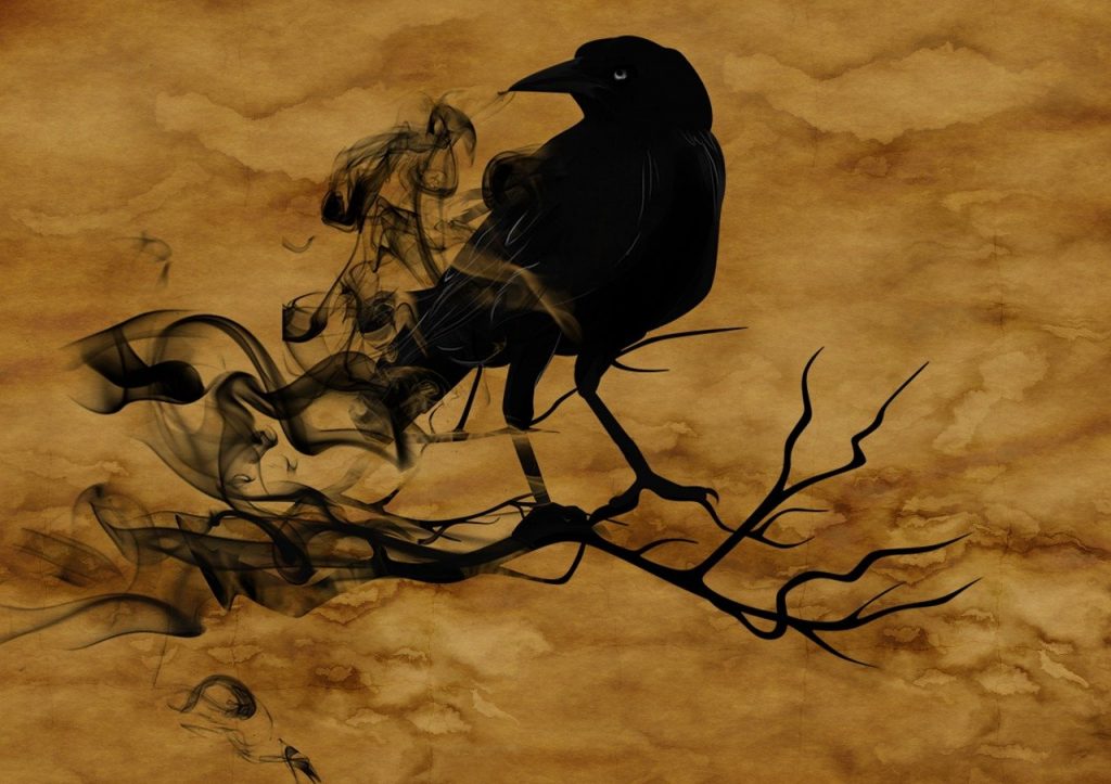 raven, crow, night-1002849.jpg, Symbol of Fear