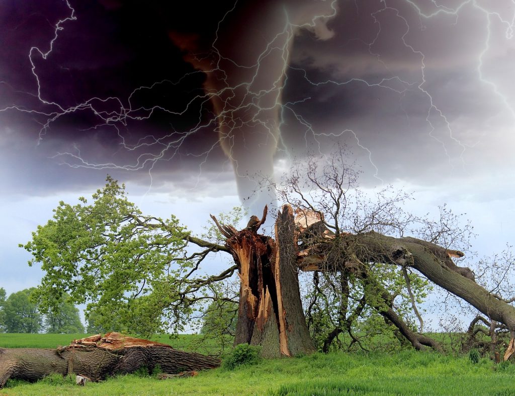 Whirlwind, tornado, storm, tree branch-1193184.jpg