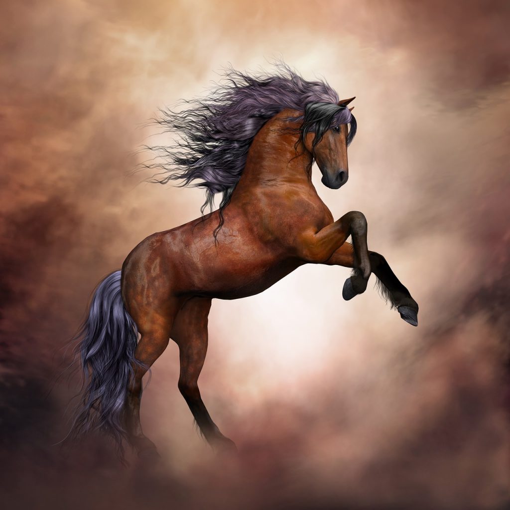 horse, wild horse, fantasy-3139429.jpg, Wild Hunt Horse