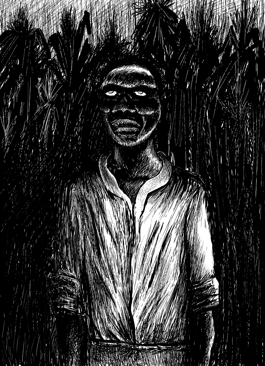 a Zombie, at twilight, in a field of cane sugar of haïti Jean-noël Lafargue, Zombie
