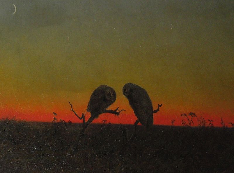 Martin Johnson Heade (1819–1904) Two Owls at Sunset, Stirge