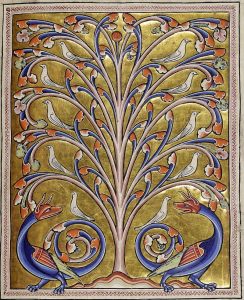 Folio 65 recto : Perindens tree (Perindens).