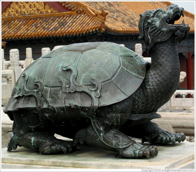 Dragon turtle