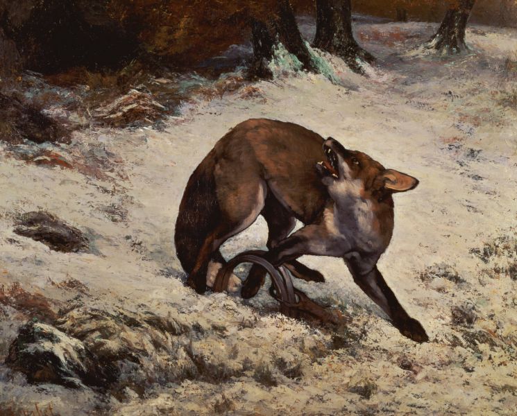 Gustave Courbet (1819-1877) Title: Fox Caught in a Trap Date 1860, Designing a Trap