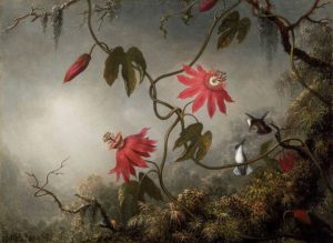Martin Johnson Heade (1819-1904) Title: Passion Flowers and Hummingbirds Date c. 1870-83, Tropical Climate