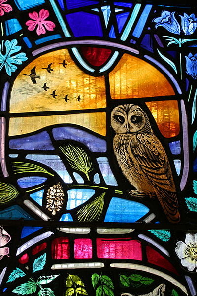﻿Part  of a stained glass window depicting local wildlife at the southern entrance of  Dornoch Cathedral. Celestial Owl