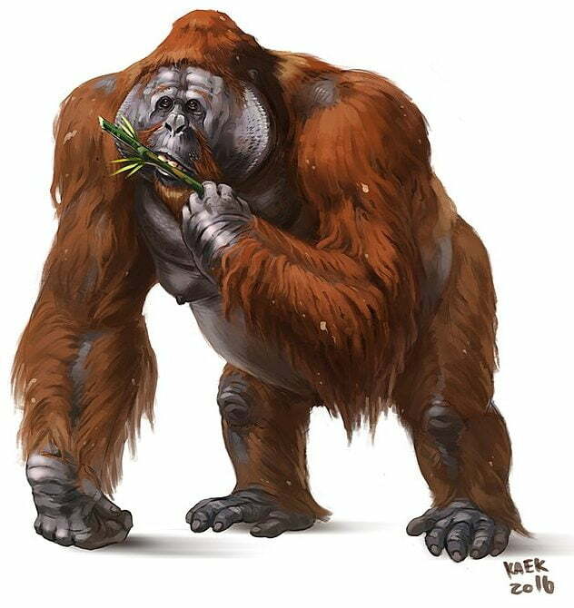 Gigantopithecus, Dire Ape