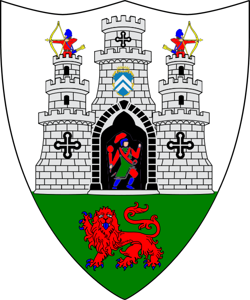 Kilkenny civic identity emblem