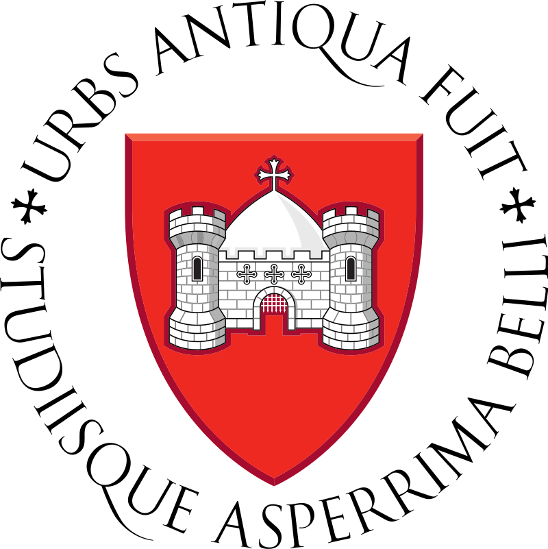 Limerick civic identity emblem