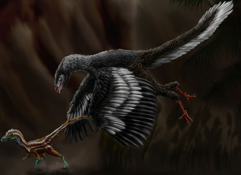 By Durbed - http://durbed.deviantart.com/art/Archaeopteryx-litographica-313930947, CC BY-SA 3.0, https://commons.wikimedia.org/w/index.php?curid=37106064, Archaeopteryx