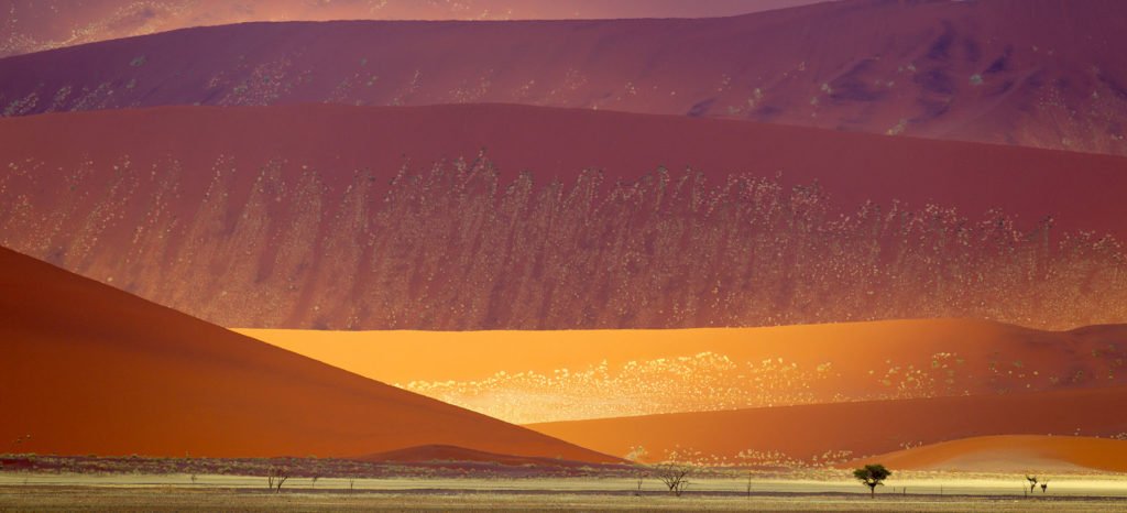 Namib Naukluft Sand Dunes 2011