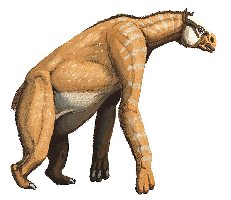 Megafauna, Chalicotherium