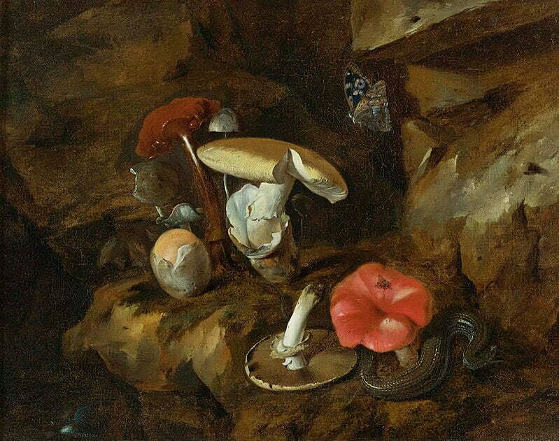 Dabble Toadstools