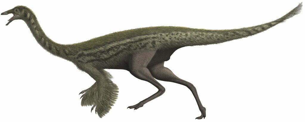 Dinosaur, Gallimimus