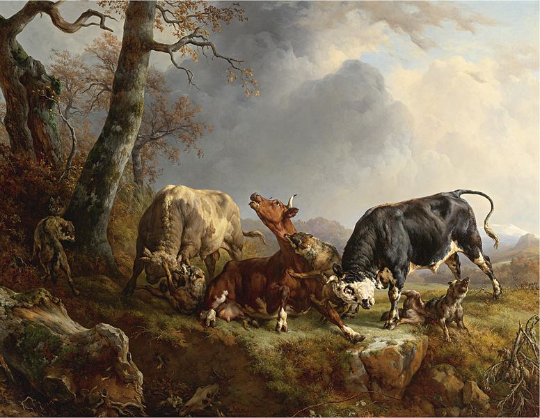 Jacques Raymond Brascassat (1804-1867) Title : Two bulls defending a cow attacked by wolves Date 1845, Call Creatures