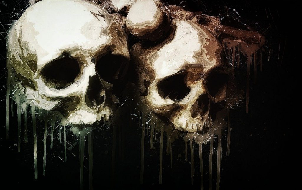 skulls, bones, skulls bones