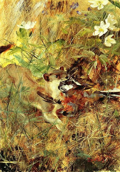 Bruno Liljefors Title Weasel with Chaffinch Year 1888, Weasel