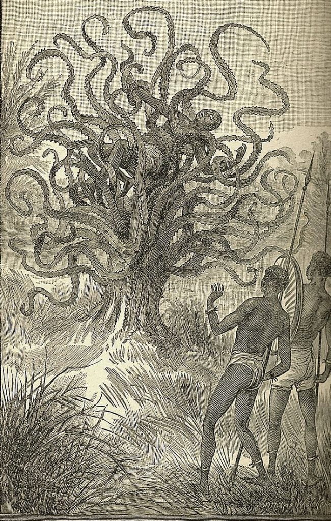Depiction of a man being consumed by a Yateveo ("I see you") carnivorous tree found in both Africa and Central America, from Sea and Land by J. W. Buel, 1887 Ya-te-veo