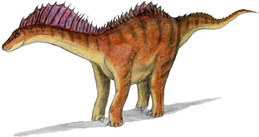 Dinosaur, Amargasaurus