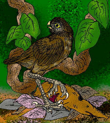 Reconstruction of the Giant Ground Owl, Ornimegalonyx oteroi, of Pleistocene Cuba, with the carcass of a large solenodon. Ornimegalonyx