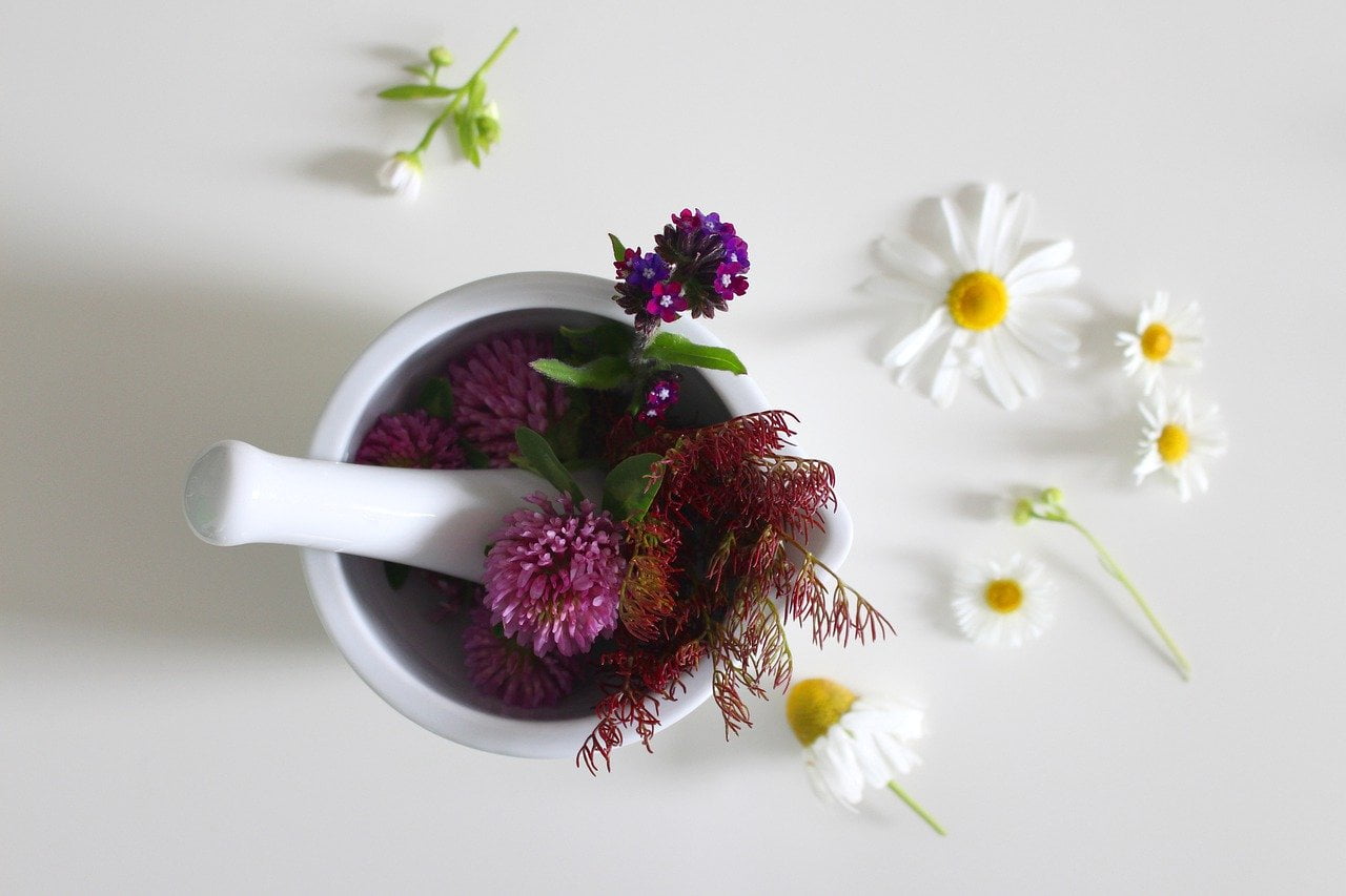 Medicinal herbs representing the Remove Sickness spell