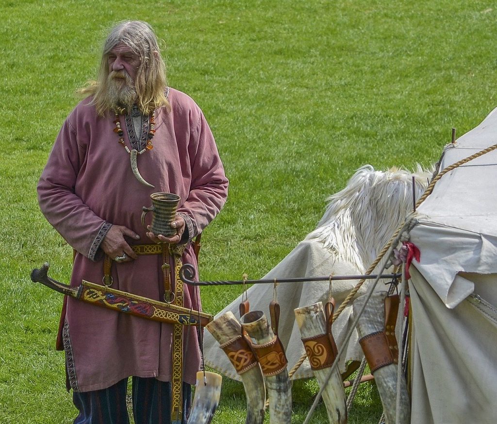 viking, medieval, show