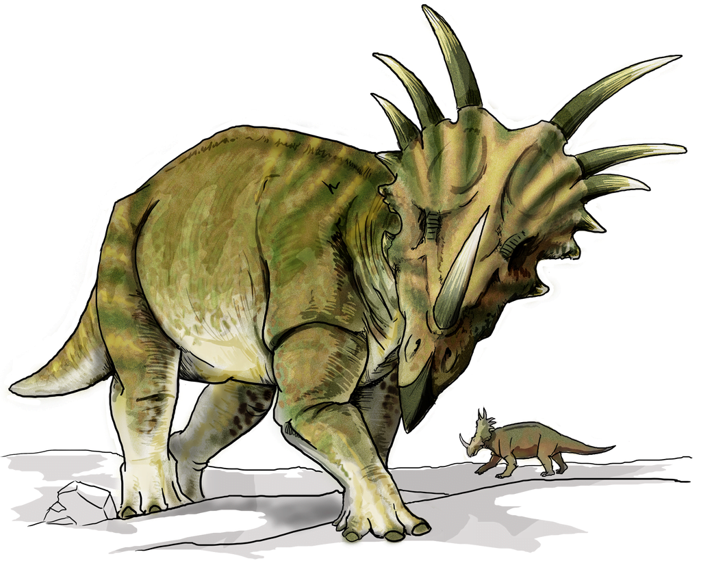 Styracosaurus  june 2007 LadyofHats, Styracosaurus