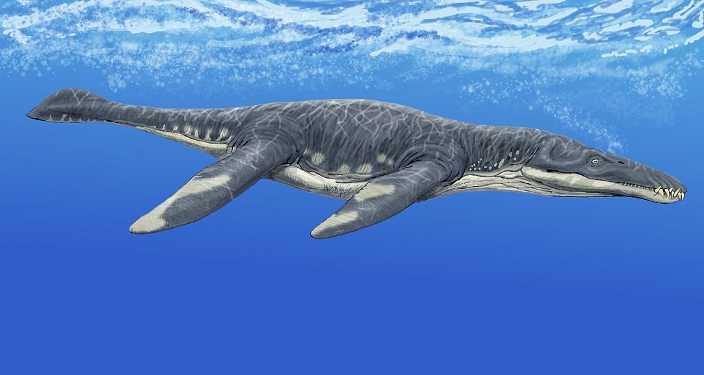 By DiBgd - Own work, CC BY-SA 4.0, https://commons.wikimedia.org/w/index.php?curid=81607348, Liopleurodon